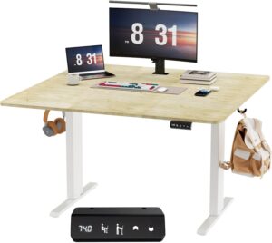 Escritorio Elevable Eléctrico 100x60 cm: Tu Oficina Ergonómica al Mejor